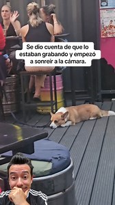 Perro sonrie a la cámara | Ami Rodriguez