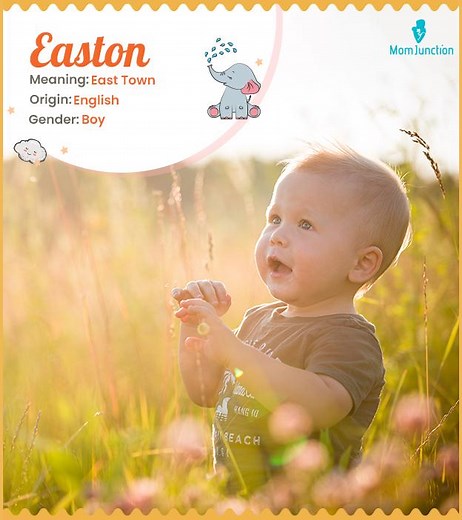 Easton Name Meaning, Origin, History, And Popularity