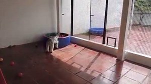 There's always that one person who can't control their excitement :D ------- Holidog: Where there’s a sitter waiting at every corner! http://holidog.trk.org/20170620UK | Holidog