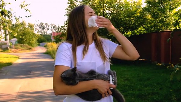 The woman is allergic to cats. Selective focus. Animal Stock Video Footage - Alamy