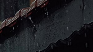 11 reactions | I’d rather be with my Xidax  | Xidax PCs | Facebook