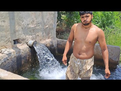 Village Tubewell swimming full fun 😊