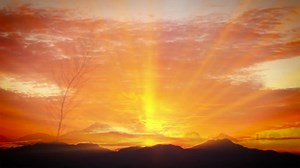 97K views · 565 shares | Sleeping and anxiety are very common issues. Check out our 7 Days to Peaceful Sleep meditation program by Deepak Chopra completely free | Deepak Chopra | Facebook