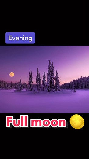 Let’s go camp in the snow. Photography in the alpine during the full moon. #winterphotoshoot #landscapephotography #snowshoe #fullmoon #wintercamping #vancouverisland #fyp