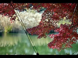 Claudine Longet - Both Sides Now