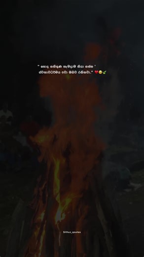 Captivating Nature Quotes from Sri Lanka