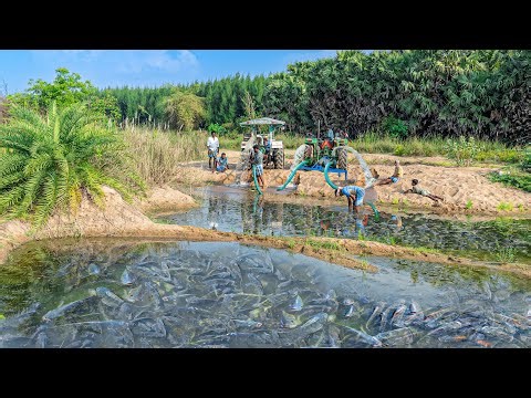 Tractor Water Pump Fishing | River Fish Catching & Traditional Cooking