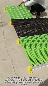 Plastic Pig Slats Grating Pig Pen Flooring for Pig Farm