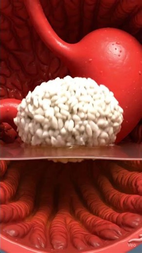 HOW FOOD BECOMES ENERGY