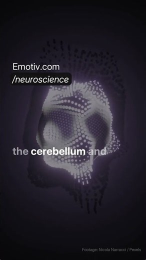 Understanding the Mechanisms of Long-Term Memory Loss