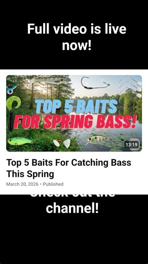 Top 5 Baits For Catching Spring Bass! #bassfishing #bass #bassbaits