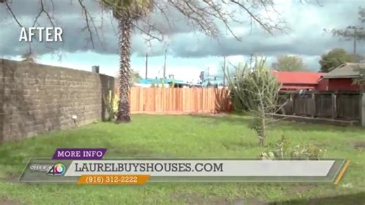 Laurel Buys Houses