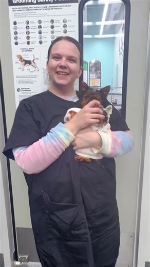 🐾 Full-Service Grooming Available! 🐾 We offer full-service grooming for puppies, dogs, cats, and small animals—all with gentle care and love. ✂️🛁 📅 Book online or stop by anytime to schedule your pet’s spa day! Your pet deserves the best 💕