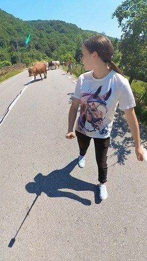 @ciont_adela e controlor de trafic! 😎 #turma #prieteni #vaci #animale #ajutor @gospodaria_dak | Haidainlume