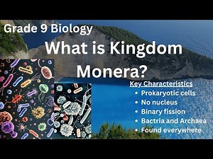 The Five Kingdom System of Classification Kingdom Monera (Grade 9 Biology)