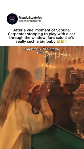 Sabrina Carpenter “pauses just to play with a random cat” goes viral #sabrinacarpenter