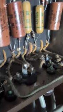 1960 Fender Champ - A True Vintage Classic in Original Condition #fenderchamp #1960fender