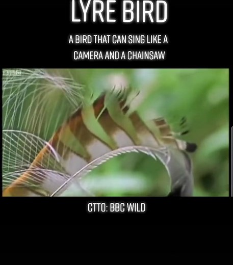 natureandme on TikTok