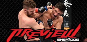 Preview: UFC Fight Night 169 ‘Benavidez vs. Figueiredo’ - Ankalaev vs. Cutelaba