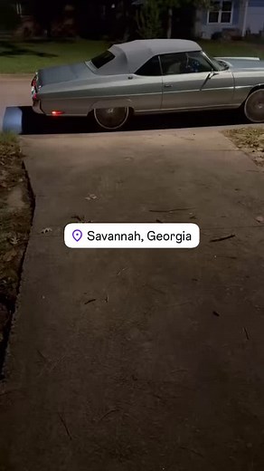 @ga_sportskennel1 #savannah got donks too | Phatwhipz