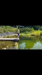 4K views · 132 reactions | You can’t get better than a freshwater swim | Natural Pools | Facebook
