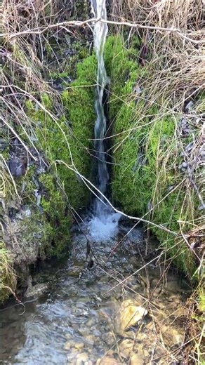 Flowing Spring Water | Peaceful Nature Short