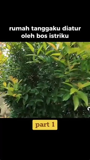 Sinetron Indosiar: Drama Rumah Tangga Part 1