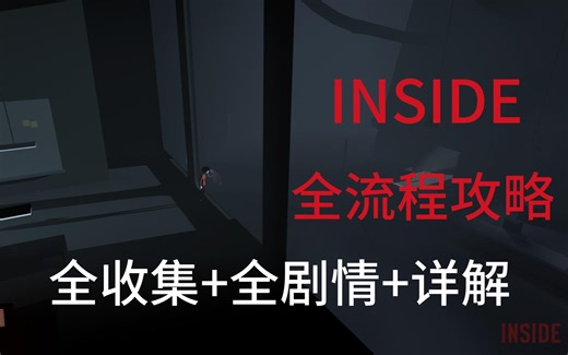 【INSIDE】全剧情攻略全收集+资源分享 第一集