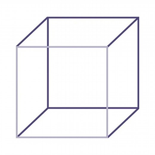 The Necker Cube: Your Brain Can't Decide! #opticalillussion