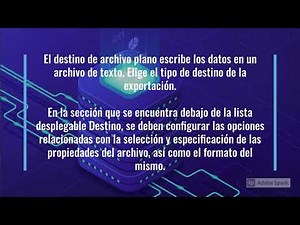 🟢 Cómo EXPORTAR datos de SQL Server a un formato de ARCHIVO DE TEXTO 📄