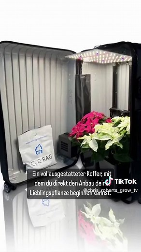 Der Aufbau des Mini Growbox Komplettsets ist sehr simple. Nach der Lieferung ist die Grow Box direkt bereit für den ersten Indoor Grow. Einfach den Lüfter, den Aktivkohlefilter und das LED-Licht montieren und es kann losgehen! #grow #bonsantosofficial #bonsanto #indoorgrow