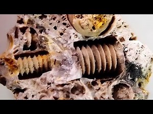 15 Most Mysterious Finds Scientists Can't Explain