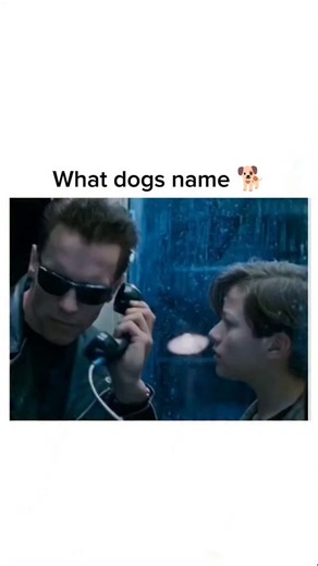 Daily.videos | Watch full movie link in bio 🖇️ 🤖🔥 Terminator 2: Judgment Day (1991) Terminator 2 raises the stakes as a reprogrammed T-800 returns —... | Instagram