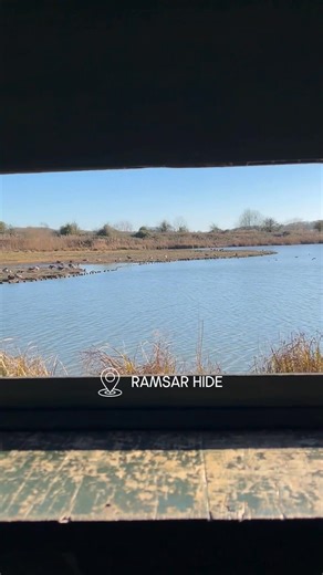 Where to Watch Wildlife with Your Boundless Membership in Arundel 🦆 Each season brings something special to WWT Arundel Wetland Centre! From shelducks and shovelers in winter to vibrant firecrests and goldcrests hiding in the hedgerows, there’s always something to spot. Keep an eye out for redwings, fieldfares, and even marsh harriers swooping overhead. And if you’re lucky, you might just catch a glimpse of a kingfisher! With Boundless, you get unlimited access to all WWT centres for yourself a