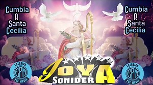 24K views · 1K reactions | Santa Cecilia 2023 Grupo La Joya Sonidera | Cumbia Sonidera | Facebook