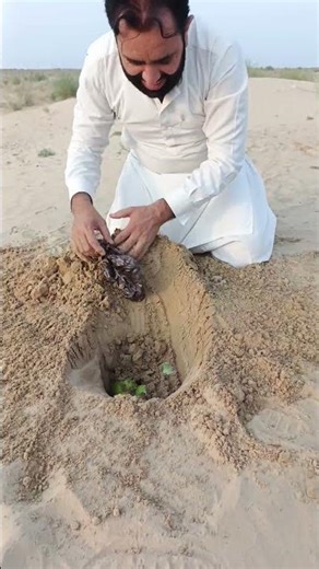 Extracting apple🍏 and mangoes🥭 under Desert 🏜️ #survival #camping #outdoors #lifehacks #experiment