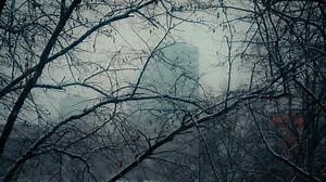 Snow Falling Videos: Download 2,483+ Free 4K & HD Stock Footage Clips - Pixabay