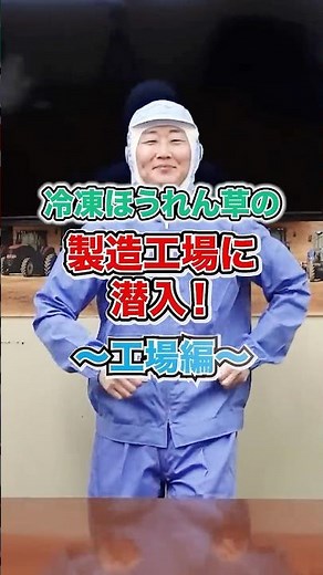 冷凍ほうれん草製造工場に潜入！【工場編】 #shorts
