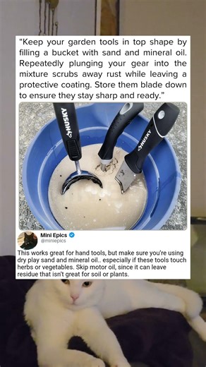 Protect Your Hand Tools From Rust