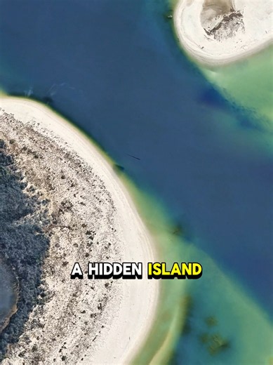 Shell Key Preserve: Hidden Beach Paradise in Florida
