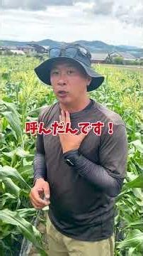 農家🧑‍🌾の水問題💦 #農家あるある#米農家VS野菜農家#水管理#農業トラブル#農業の現実