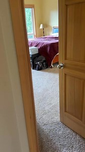 1M views · 14K reactions | Cougar visits my home in Tiger Mountain! I’ve never seen a wild cougar in Washington with my own eyes…until this morning! I was sitting at my computer when I heard a loud thump that slightly shook the house. I went to the bedroom to investigate and found a full size cougar staring at me from the deck! It must have jumped 15 feet up there from the ground. Crazy! | Ben Babusis Photography | Facebook