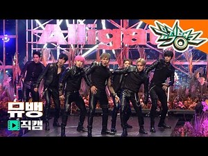 [4K] 몬스타엑스(MONSTA X) 풀캠 - Alligator / 190222 뮤직뱅크 직캠