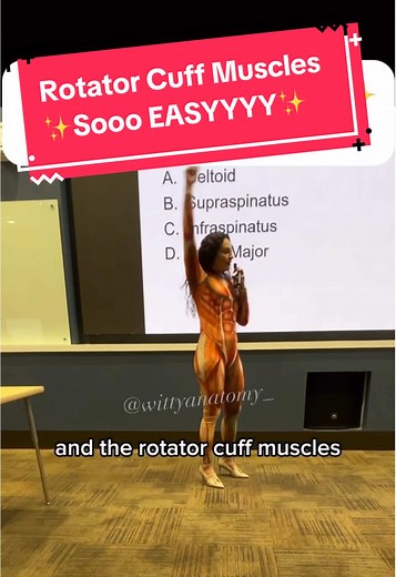 Understanding Rotator Cuff Muscles with Dr. Benaduce