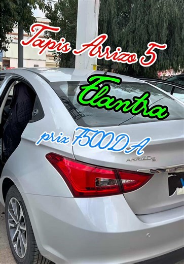 Tapis sur Mesure Arrizo 5 et Elantra Disponible marhba bikom Livraison 69 wilaya #AccessoiresAuto #69ولايــة #شعب_الصيني_ماله_حل😂😂 #الجزائر #طابي_سيارات