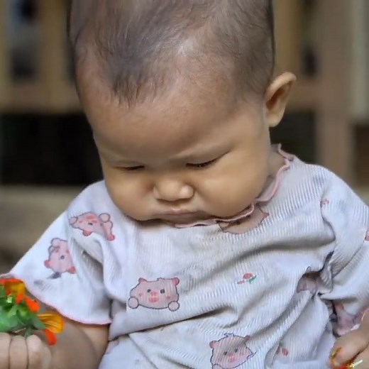 Single mother panics as giant python attacks duck farm Harvesting papaya for sale | Blue Life | Facebook