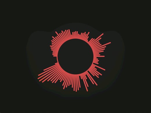 Signal - rejection (they remix)