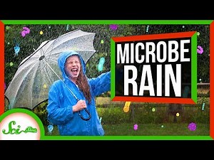 Bacteria and Viruses Are Raining Down on Us All the Time