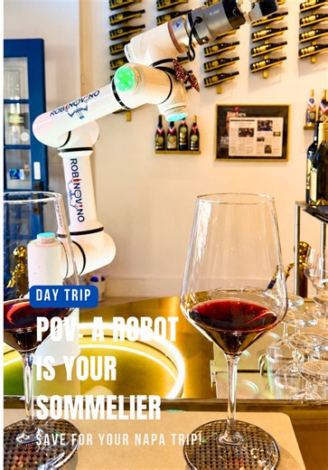Unique Wine Experience: Meet RobinoVino Robot Sommelier