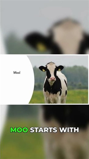 Learn Farm Animal Sounds in 30 Seconds! 🐮 Moo!